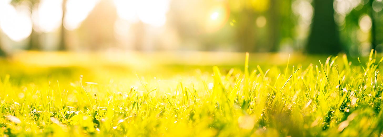 Products for wholesale and retail