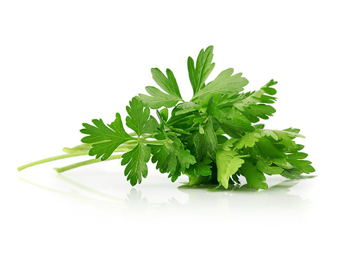Parsley oil