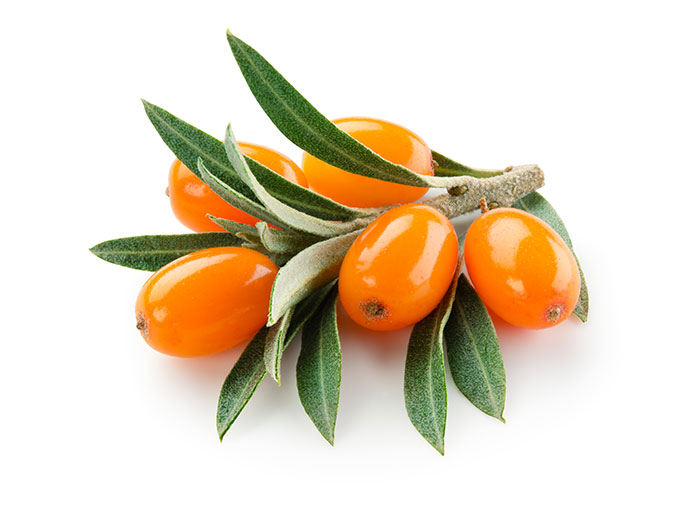 Sanddornfruchtfleischöl