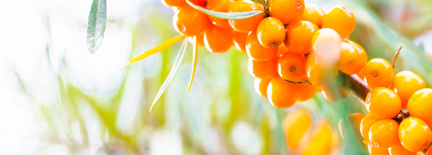 Látky v bio kvalitě