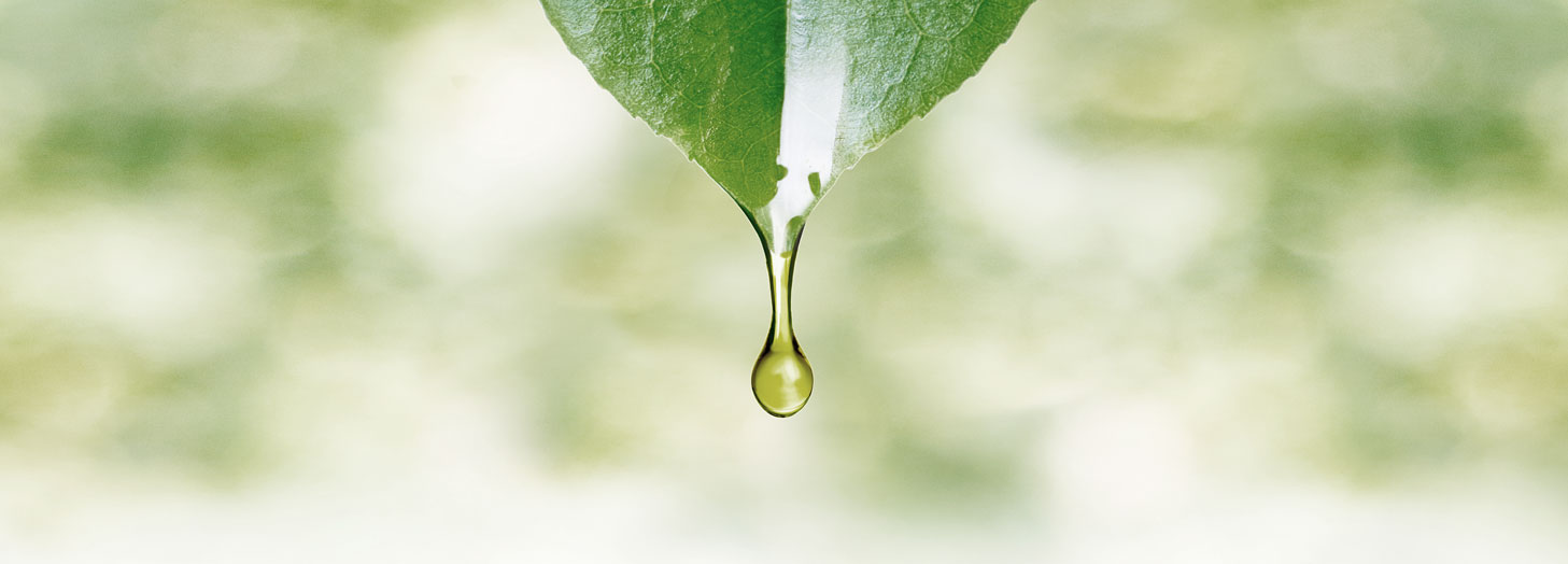 Az ön növényi olajok és zsírok szállítója