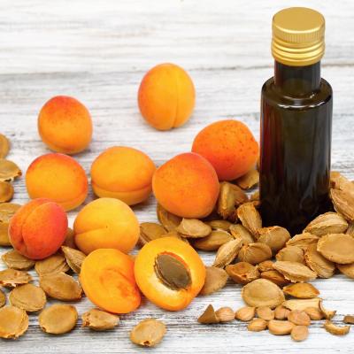 Aprikosenkernoel